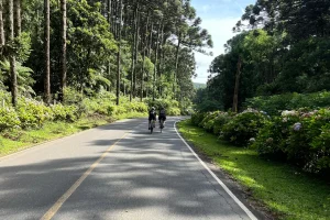 ciclismo