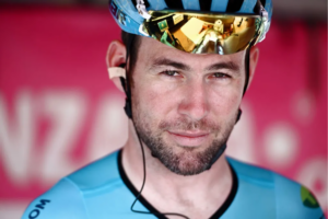 Cavendish - face