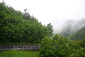 Giro - ST16 Peloton